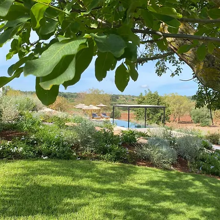 Villa Trulli Otto Cappelli - Exclusive Trulli *