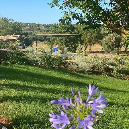 Trulli Otto Cappelli - Exclusive Trulli Villa *