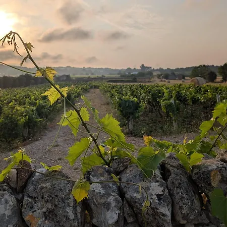 Trulli Otto Cappelli - Exclusive Trulli Villa Cisternino