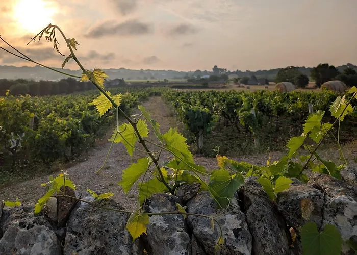 Trulli Otto Cappelli - Exclusive Trulli Villa Cisternino